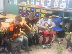 © Volksschule St.Andrä