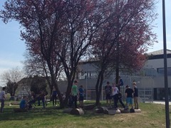 Schulgarten © VS Markt Allhau Schulgarten