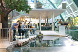 © Daniel Hinterramskogler