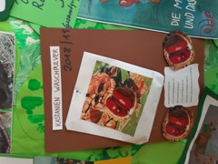 © Kindergarten Freizeitanlage