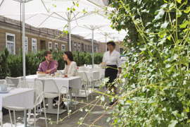 © The Harmonie Vienna