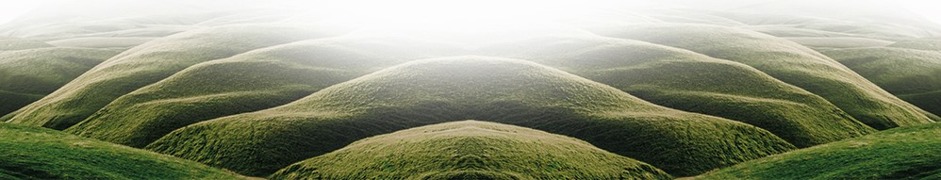 Landscape © green front Landscape