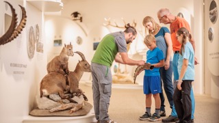 Im BIOS Nationalparkzentrum Mallnitz erklärt ein Ranger den Besuchern die Ringe auf einem Steinbockhorn © Alexander Müller Im BIOS Nationalparkzentrum Mallnitz erklärt ein Ranger den Besuchern die Ringe auf einem Steinbockhorn