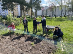 © Theodor-Grill-Schule