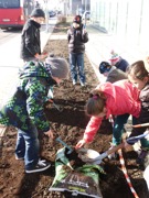 VS Schukowitzgasse Bild 1