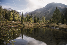 Fernergries © ©-TVB-Tiroler-Oberland-Kaunertal-Severin-Wegener Fernergries