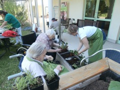 Wiener Neustadt LPH Seniorenaktionstage © Verein Natur im Garten Wiener Neustadt LPH Seniorenaktionstage