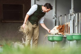 Hotel Kogler Bad Mitterndorf