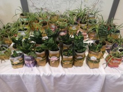 © VS Bruck/Aschach, Manuela Ortbauer