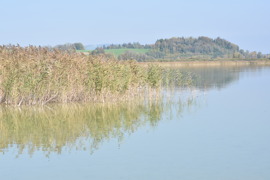 © Gymnasium Seekirchen