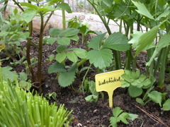 Gewürze © BRG Wien 3 Gewürze