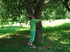 Naturerleben © VS Wienerwald Naturerleben