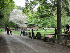 © Naturpark Sparbach