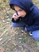 © VS Großwarasdorf