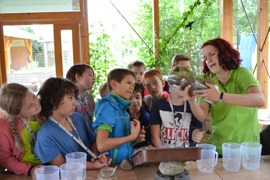 Kinderuni © Verein Natur im Garten Kinderuni