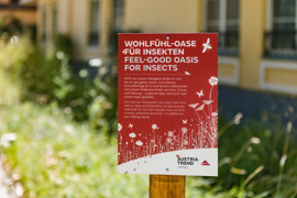 Parkhotel Schönbrunn Wildwiese