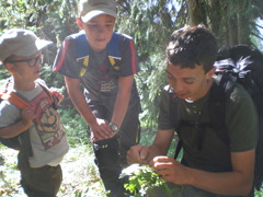 Volksschule Blons 3 © VS Blons Volksschule Blons 3