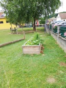 © Lernwelt Mühlgraben