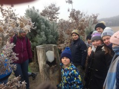 © VS Großwarasdorf