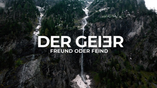 Der Geier © ZDF/ORF/Filmstill Der Geier