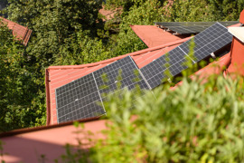 PV-Anlage und eigene Kräuter © Foto Wolkersdorfer PV-Anlage und eigene Kräuter