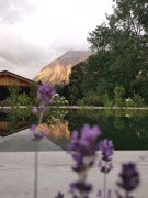 Teich © Dorota Riegler Teich