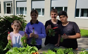 Hochbeet © Bildrechte vorhanden Hochbeet