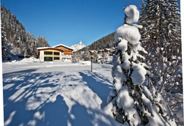 © Fotodesign David / Hotel Alpenhof