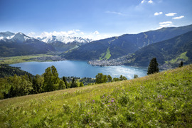 Panoramablick auf den Zeller See im Sommer, umgeben von grünen Hügeln und Bergen mit Schneefeldern, bei sonnigem Wetter.