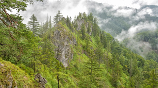 Kalkalpen Hochschlacht © Marek Herfried Kalkalpen Hochschlacht