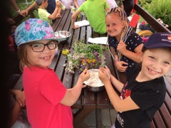 © Lackner Alexandra