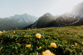 - © Region Seefeld, Charly Schwarz -