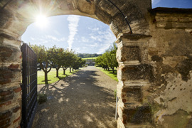 Eine grüne Oase rund um die Schallaburg