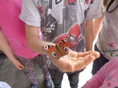 © Volkshilfekindergarten Röthelstein