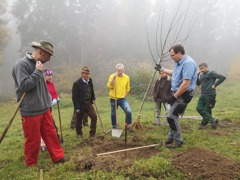 © ÖKL Seminar Streuobstwiesen