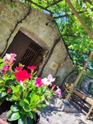 Kellergasse Purbach - UNESCO Weltkulturerbe © (c)TVB Nordburgenland_A. Göschl Kellergasse Purbach - UNESCO Weltkulturerbe