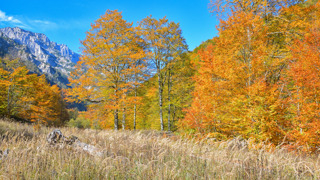 Kalkalpen Bodinggraben © Marek Herfried Kalkalpen Bodinggraben