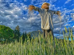 © Johann Steinwender