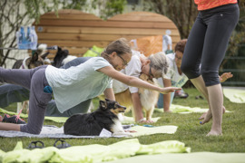 © Hotel Magdalena e.U