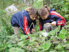 SchülerInnen HS Wolfurt © HS Wolfurt SchülerInnen HS Wolfurt