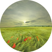 Naturkraft Imagebild, Druck © Naturkraft Energievertriebsgesellschaft m.b.H. Naturkraft Imagebild, Druck