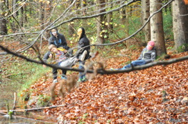 © Gymnasium Seekirchen