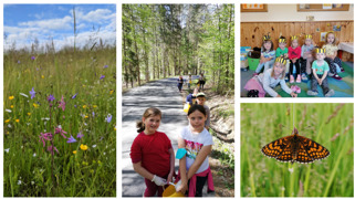 © Lernwelt Mühlgraben