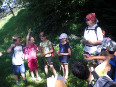 Volksschule Blons 5 © VS Blons Volksschule Blons 5