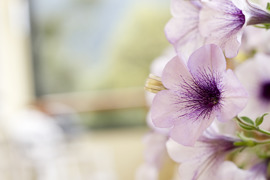 © Zirngast Tourismusbetriebs GmbH