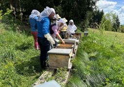 © Imkerschule Kärnten