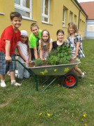 VS Leithaprodersdorf Kräutertruhe © VS Leithaprodersdorf VS Leithaprodersdorf Kräutertruhe