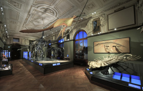 Sauriersaal NHM © NHM Wien, Kurt Kracher Sauriersaal NHM