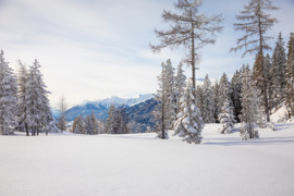 Harbe © ©-TVB-Tiroler-Oberland-Kaunertal-Severin-Wegener Harbe