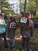 © VS Großwarasdorf